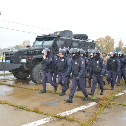 1 (245).jpg